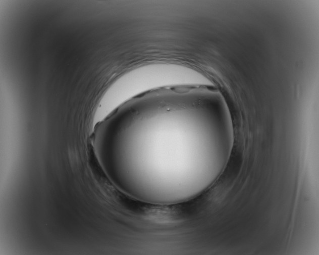 X0000086080123200703301137