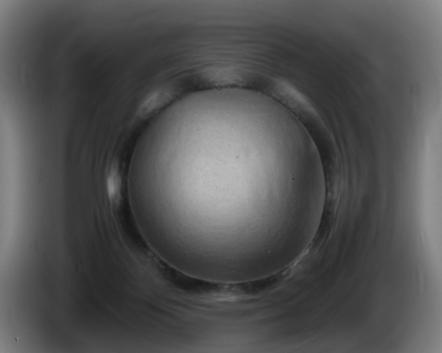 X0000086080124200703301137