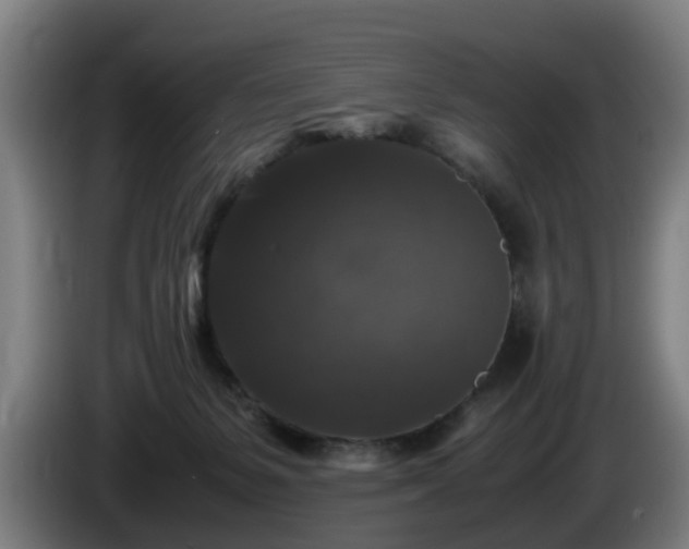 X0000086080127200703301137