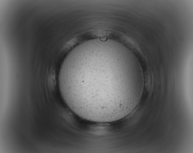 X0000086080128200703301137