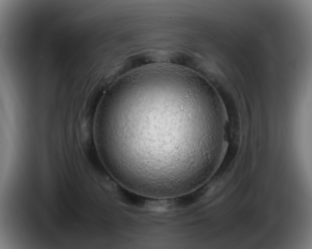 X0000086080131200703301137