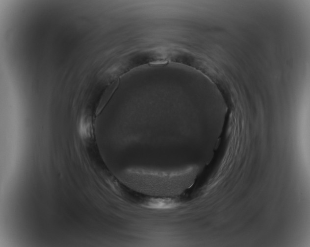 X0000086080137200703301137