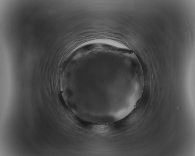 X0000086080139200703301137