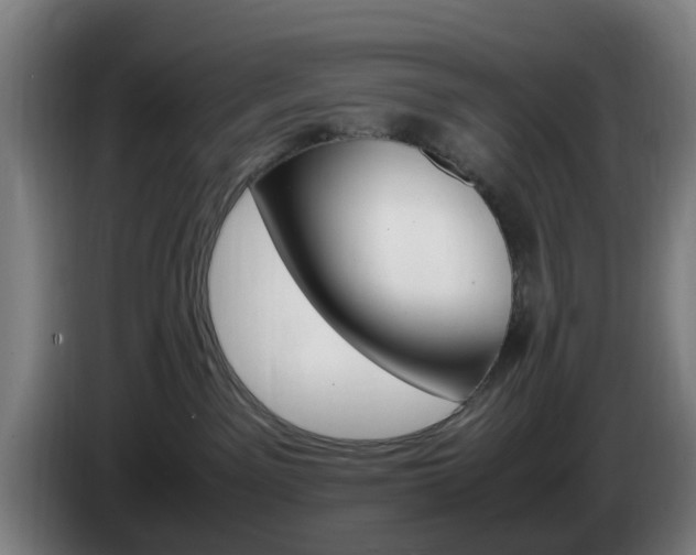 X0000086080141200703301137