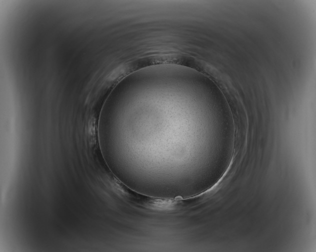 X0000086080144200703301137