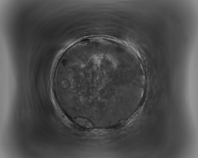 X0000086080145200703301136