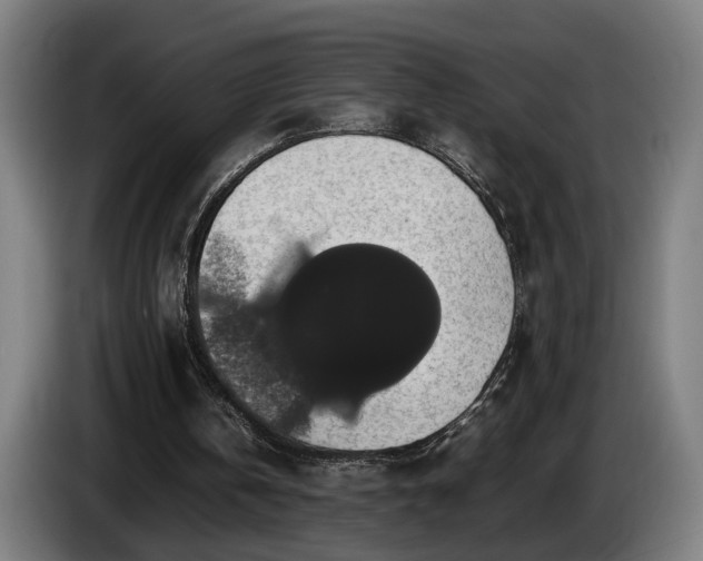 X0000086080146200703301136