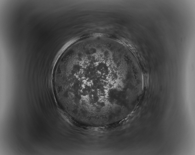 X0000086080147200703301136