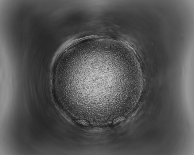 X0000086080149200703301136