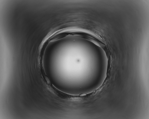 X0000086080150200703301136