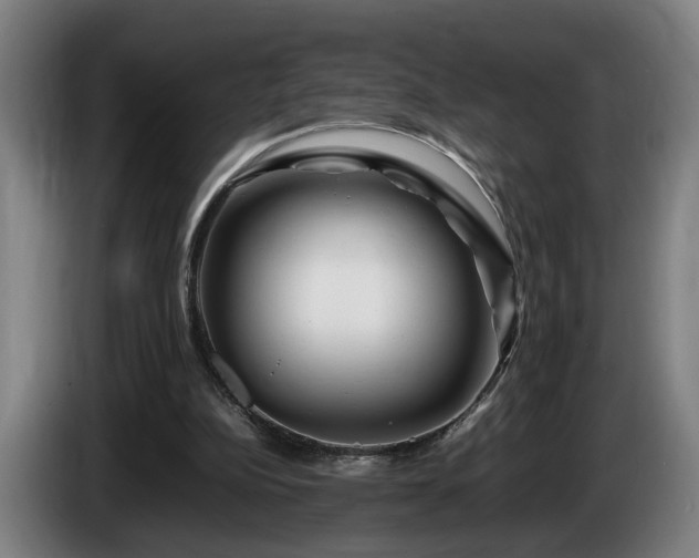 X0000086080152200703301136