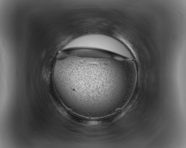 X0000086080153200703301136