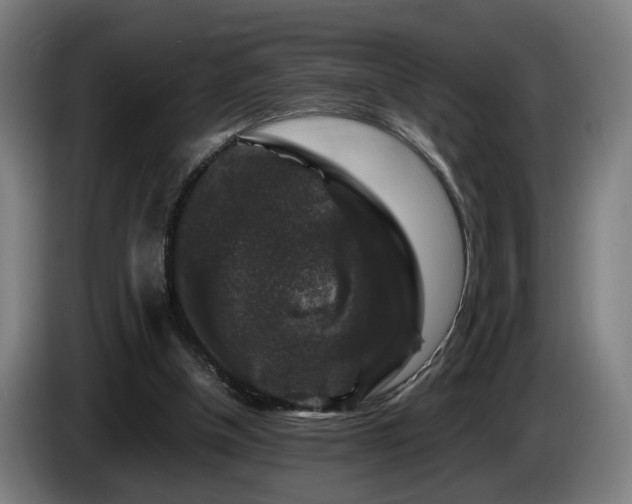 X0000086080154200703301136