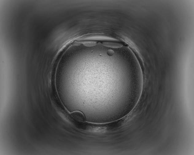 X0000086080155200703301136