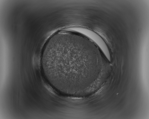 X0000086080156200703301136