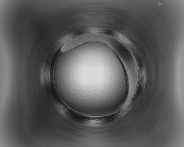 X0000086080158200703301136