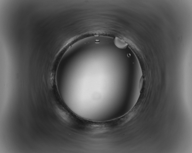 X0000086080160200703301136