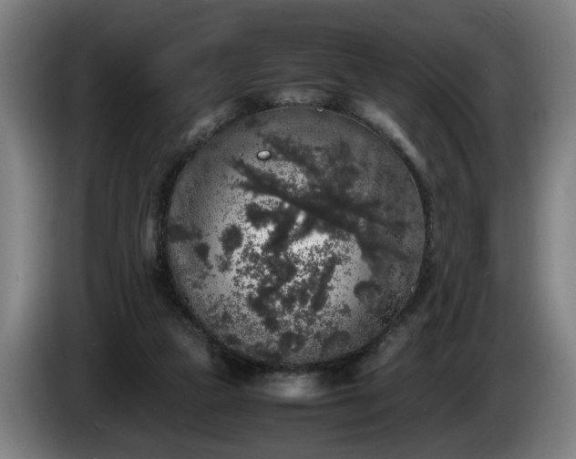 X0000086080161200703301136