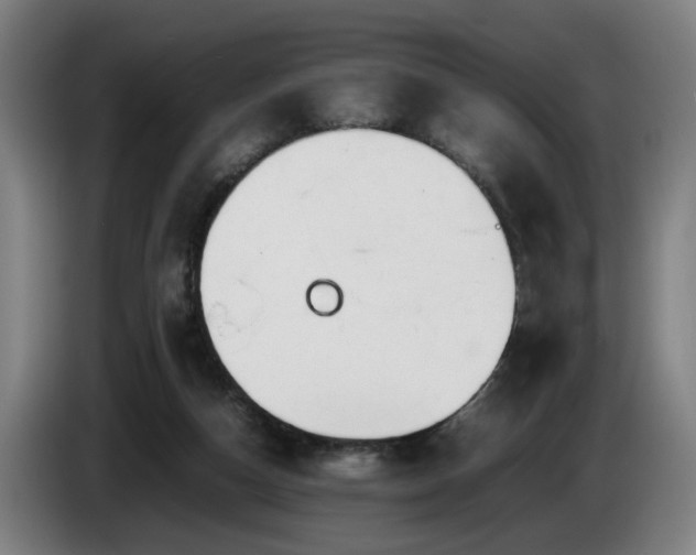 X0000086080162200703301136