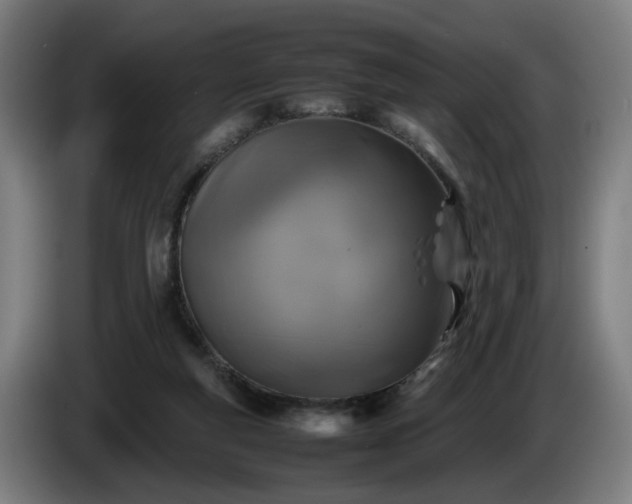 X0000086080163200703301136