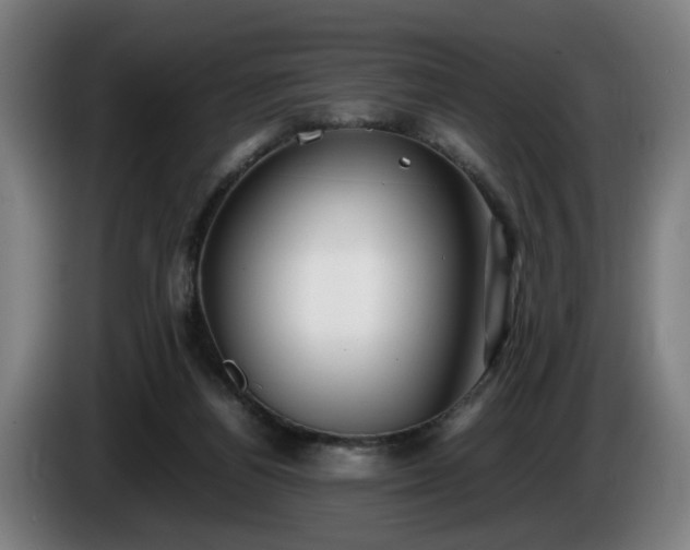 X0000086080164200703301136