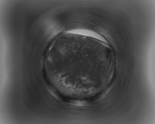 X0000086080165200703301136