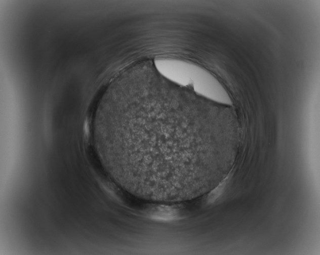 X0000086080166200703301136