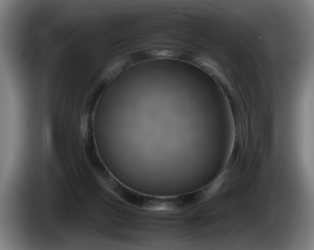 X0000086080167200703301136