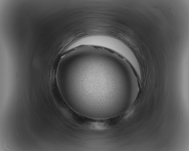 X0000086080168200703301136