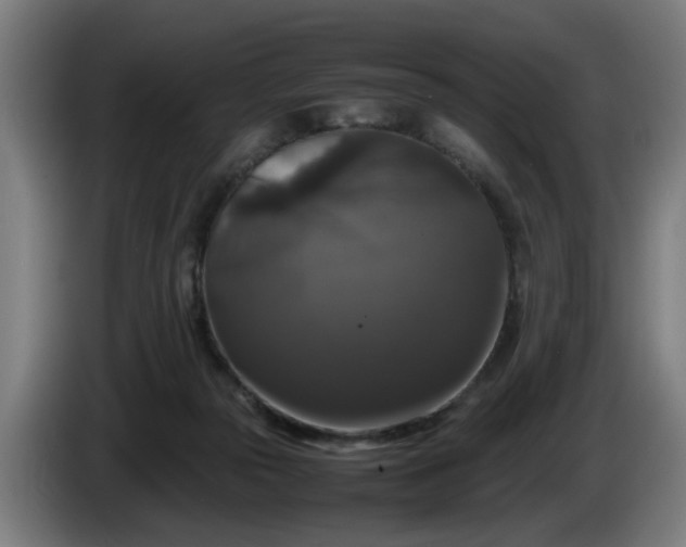 X0000086080169200703301136