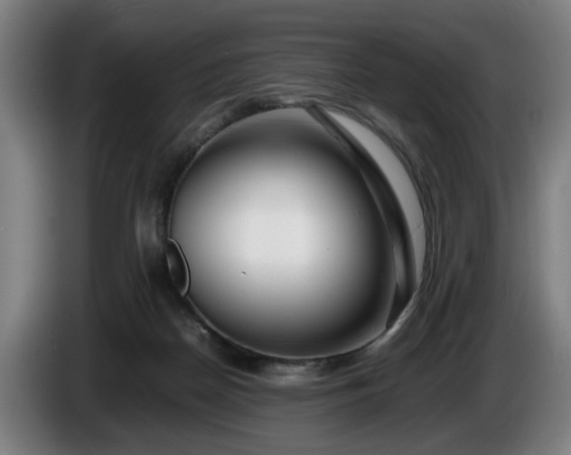 X0000086080170200703301136