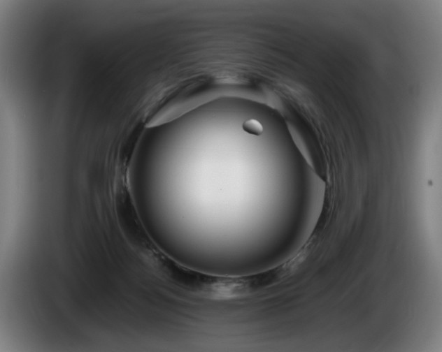 X0000086080172200703301136