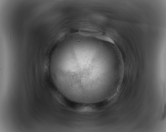 X0000086080175200703301137