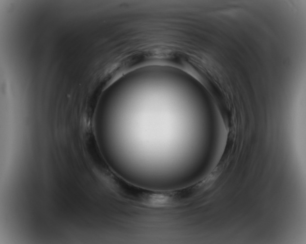 X0000086080176200703301137