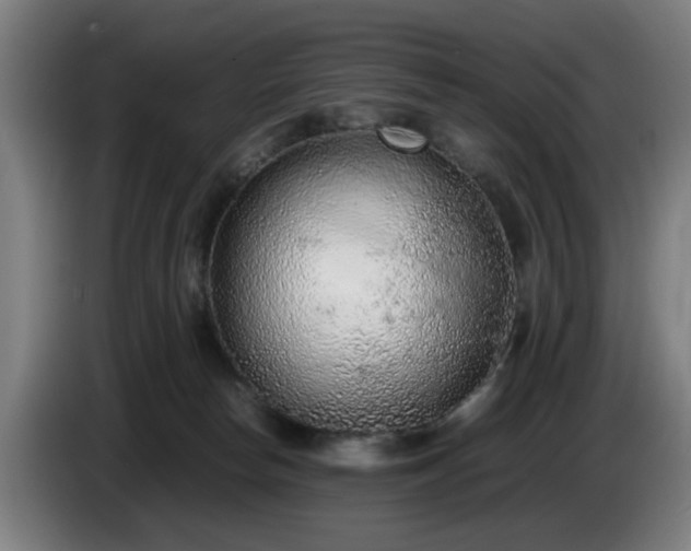 X0000086080178200703301137