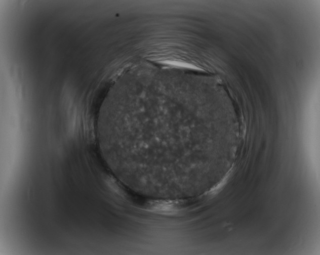 X0000086080182200703301137