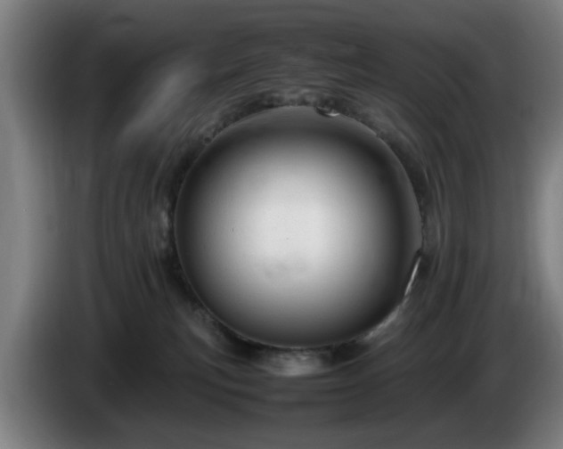 X0000086080183200703301137