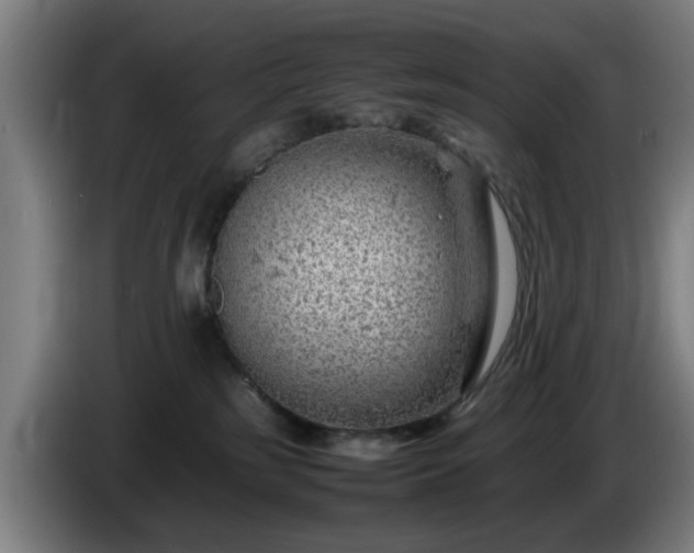 X0000086080185200703301137