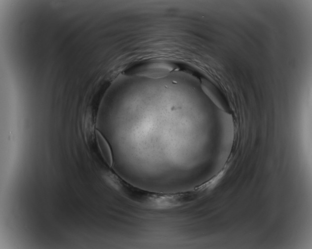 X0000086080186200703301137