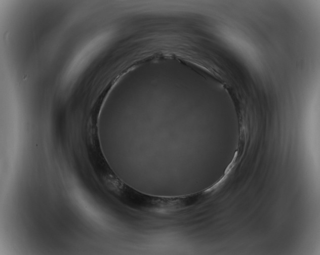 X0000086080191200703301137