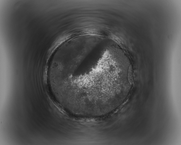 X0000086080194200703301136