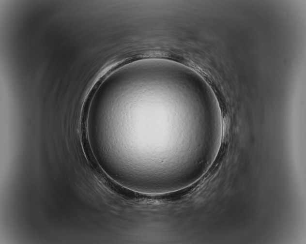 X0000086080195200703301136