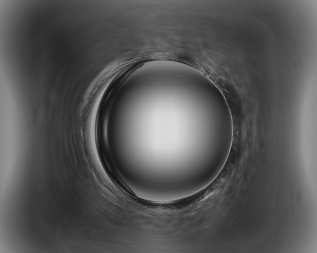 X0000086080197200703301136