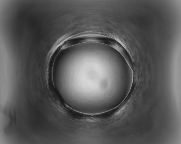 X0000086080199200703301136