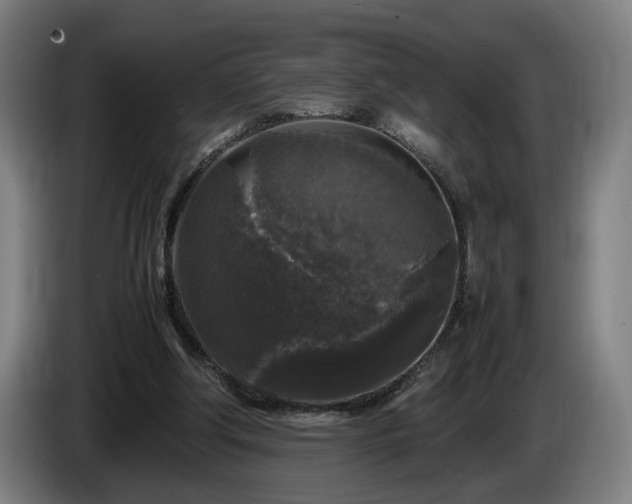 X0000086080202200703301136