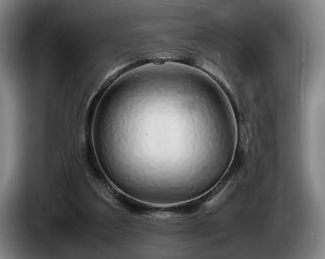 X0000086080203200703301136