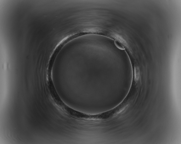 X0000086080204200703301136