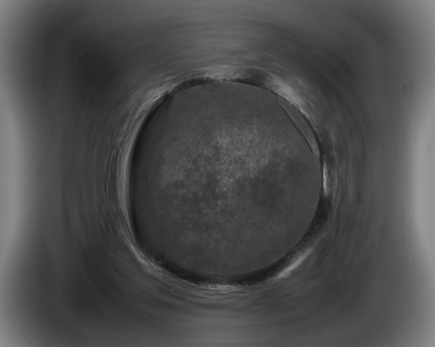 X0000086080205200703301136