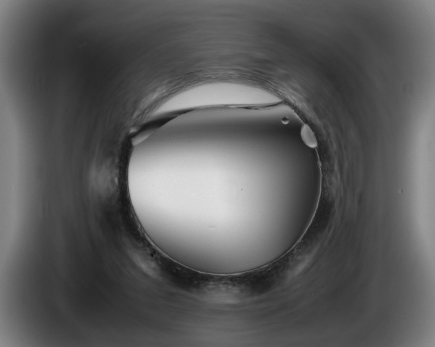 X0000086080207200703301136