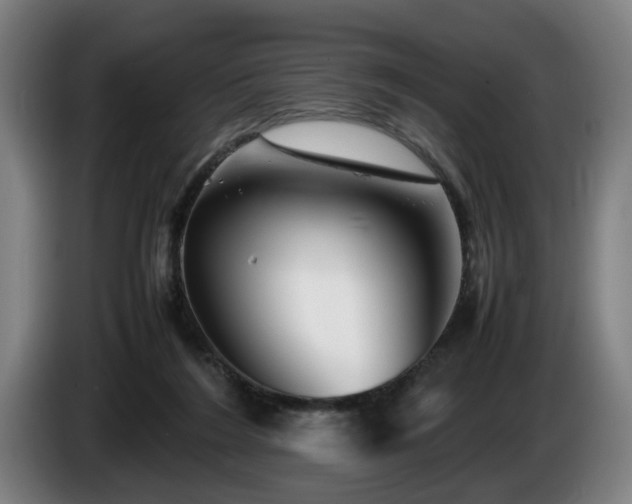 X0000086080212200703301136